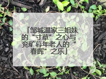邹城温家三姐妹的“寸草”之心与兖矿暮年老人的“春晖”之乐