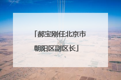 郝宝刚任北京市朝阳区副区长
