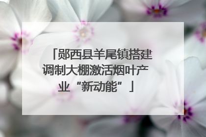 郧西县羊尾镇搭建调制大棚激活烟叶产业“新动能”