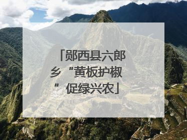 郧西县六郎乡“黄板护椒”促绿兴农