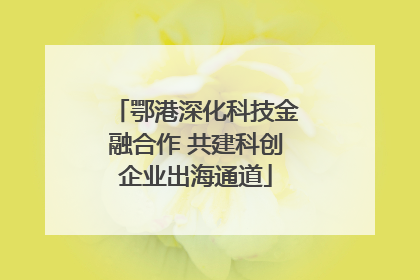 鄂港深化科技金融合作 共建科创企业出海通道