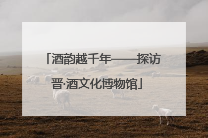 酒韵越千年——探访晋·酒文化博物馆