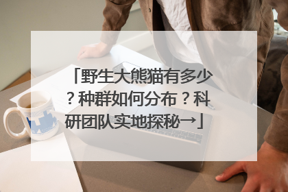 野生大熊猫有多少？种群如何分布？科研团队实地探秘→