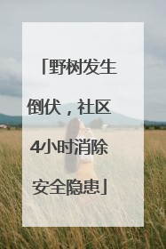 野树发生倒伏，社区4小时消除安全隐患