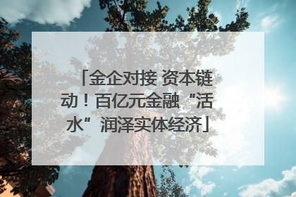 金企对接 资本链动！百亿元金融“活水”润泽实体经济