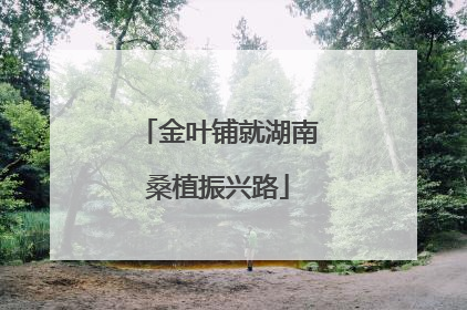 金叶铺就湖南桑植振兴路