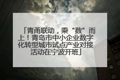 青甬联动，乘“数”而上！青岛市中小企业数字化转型城市试点产业对接活动在宁波开班