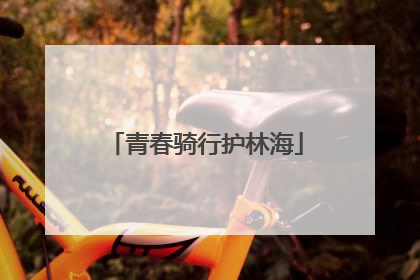 青春骑行护林海