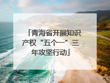 青海省开展知识产权“五个一”三年攻坚行动