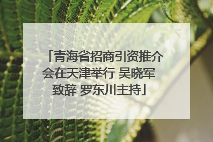 青海省招商引资推介会在天津举行 吴晓军致辞 罗东川主持