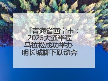 青海省西宁市：2025大通半程马拉松成功举办 明长城脚下跃动奔跑音符