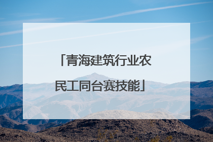 青海建筑行业农民工同台赛技能