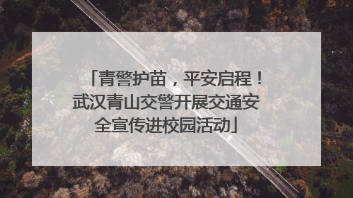 青警护苗，平安启程！武汉青山交警开展交通安全宣传进校园活动