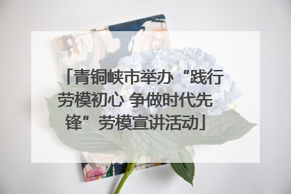 青铜峡市举办“践行劳模初心 争做时代先锋”劳模宣讲活动