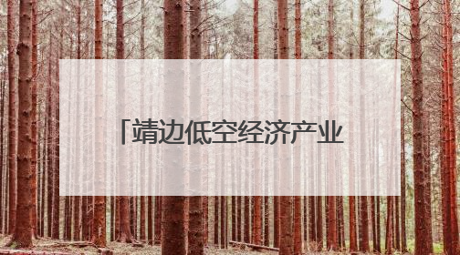 靖边低空经济产业园无人机研发中心N2标段主体封顶