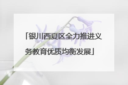 银川西夏区全力推进义务教育优质均衡发展