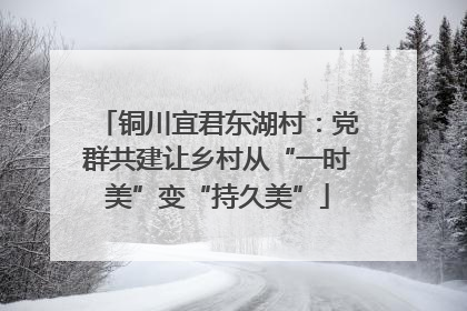 铜川宜君东湖村：党群共建让乡村从“一时美”变“持久美”