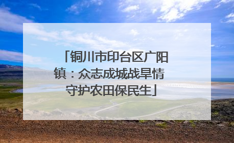 铜川市印台区广阳镇：众志成城战旱情 守护农田保民生
