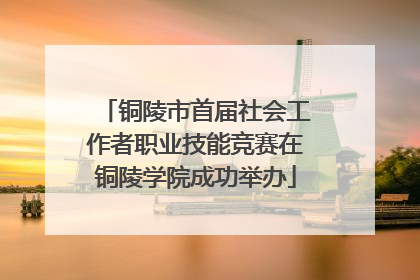 铜陵市首届社会工作者职业技能竞赛在铜陵学院成功举办
