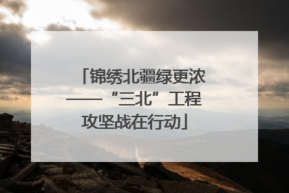 锦绣北疆绿更浓——“三北”工程攻坚战在行动