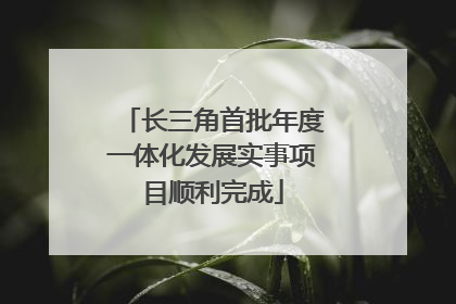 长三角首批年度一体化发展实事项目顺利完成