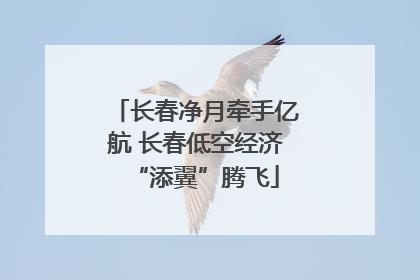 长春净月牵手亿航 长春低空经济“添翼”腾飞