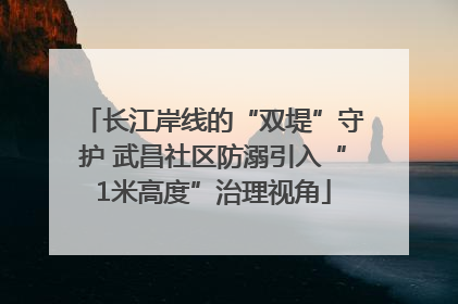长江岸线的“双堤”守护 武昌社区防溺引入“1米高度”治理视角