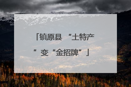 镇原县 “土特产”变“金招牌”
