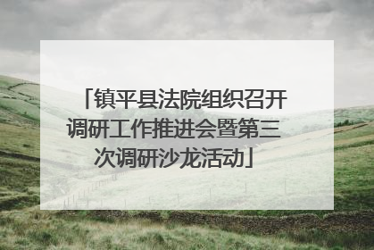 镇平县法院组织召开调研工作推进会暨第三次调研沙龙活动