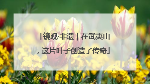 镜观·非遗｜在武夷山，这片叶子创造了传奇