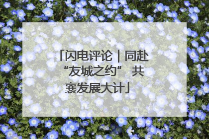 闪电评论｜同赴“友城之约” 共襄发展大计
