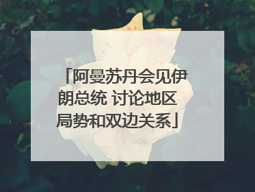 阿曼苏丹会见伊朗总统 讨论地区局势和双边关系