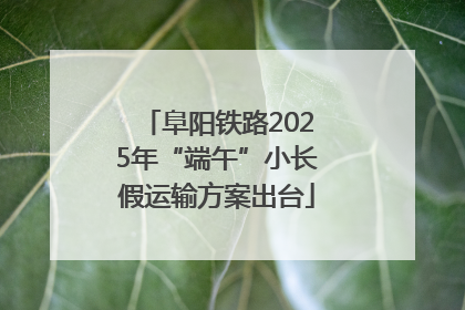 阜阳铁路2025年“端午”小长假运输方案出台