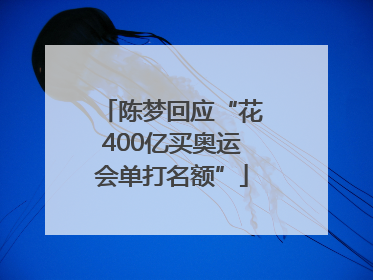陈梦回应“花400亿买奥运会单打名额”