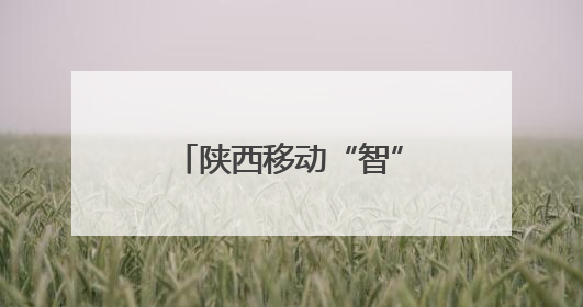 陕西移动“智”绘双河口镇 数字赋能山乡蝶变
