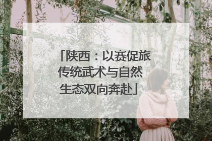 陕西：以赛促旅 传统武术与自然生态双向奔赴