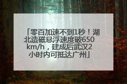 零百加速不到1秒！湖北造磁悬浮速度破650km/h，建成后武汉2小时内可抵达广州