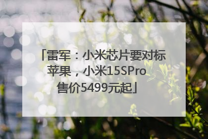 雷军：小米芯片要对标苹果，小米15SPro售价5499元起