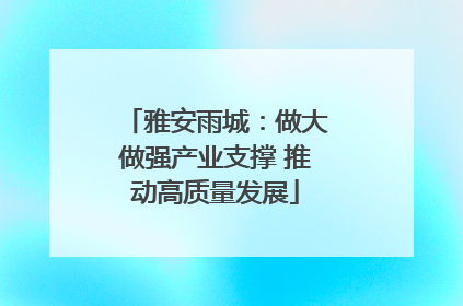 雅安雨城：做大做强产业支撑 推动高质量发展