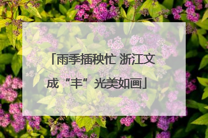 雨季插秧忙 浙江文成“丰”光美如画