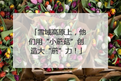 雪域高原上，他们用“小蘑菇”创造大“蘑”力！