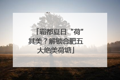 霸都夏日“荷”其美？解锁合肥五大绝美荷塘