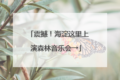 震撼！海淀这里上演森林音乐会→
