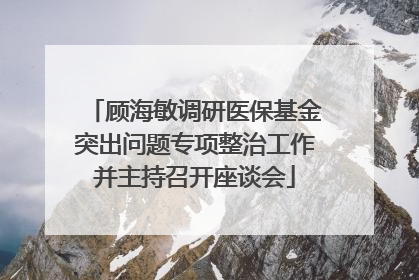 顾海敏调研医保基金突出问题专项整治工作并主持召开座谈会
