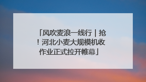 风吹麦浪一线行｜抢！河北小麦大规模机收作业正式拉开帷幕