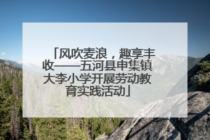 风吹麦浪，趣享丰收——五河县申集镇大李小学开展劳动教育实践活动