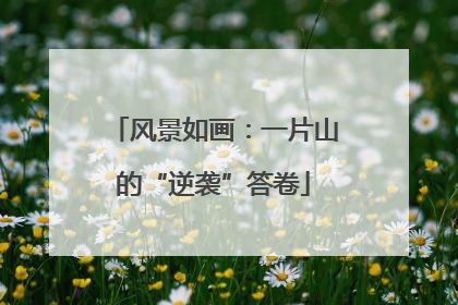 风景如画：一片山的“逆袭”答卷