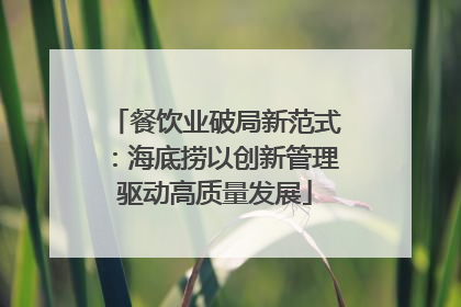 餐饮业破局新范式：海底捞以创新管理驱动高质量发展