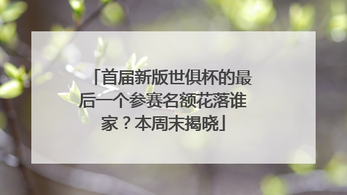 首届新版世俱杯的最后一个参赛名额花落谁家？本周末揭晓