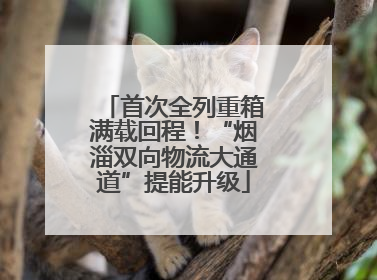 首次全列重箱满载回程！“烟淄双向物流大通道”提能升级